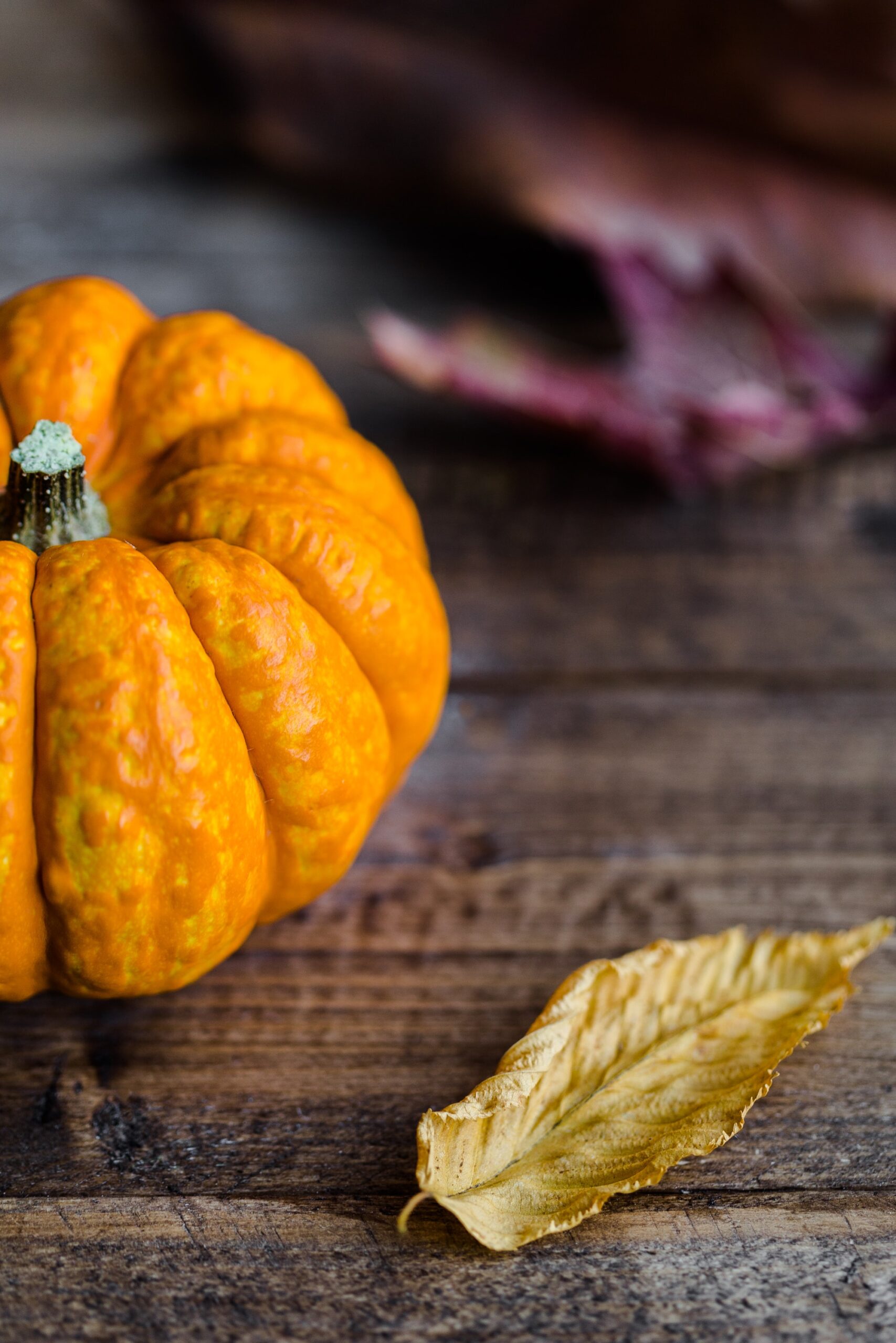 pumpkin for pumpkin pie on Thankgiving